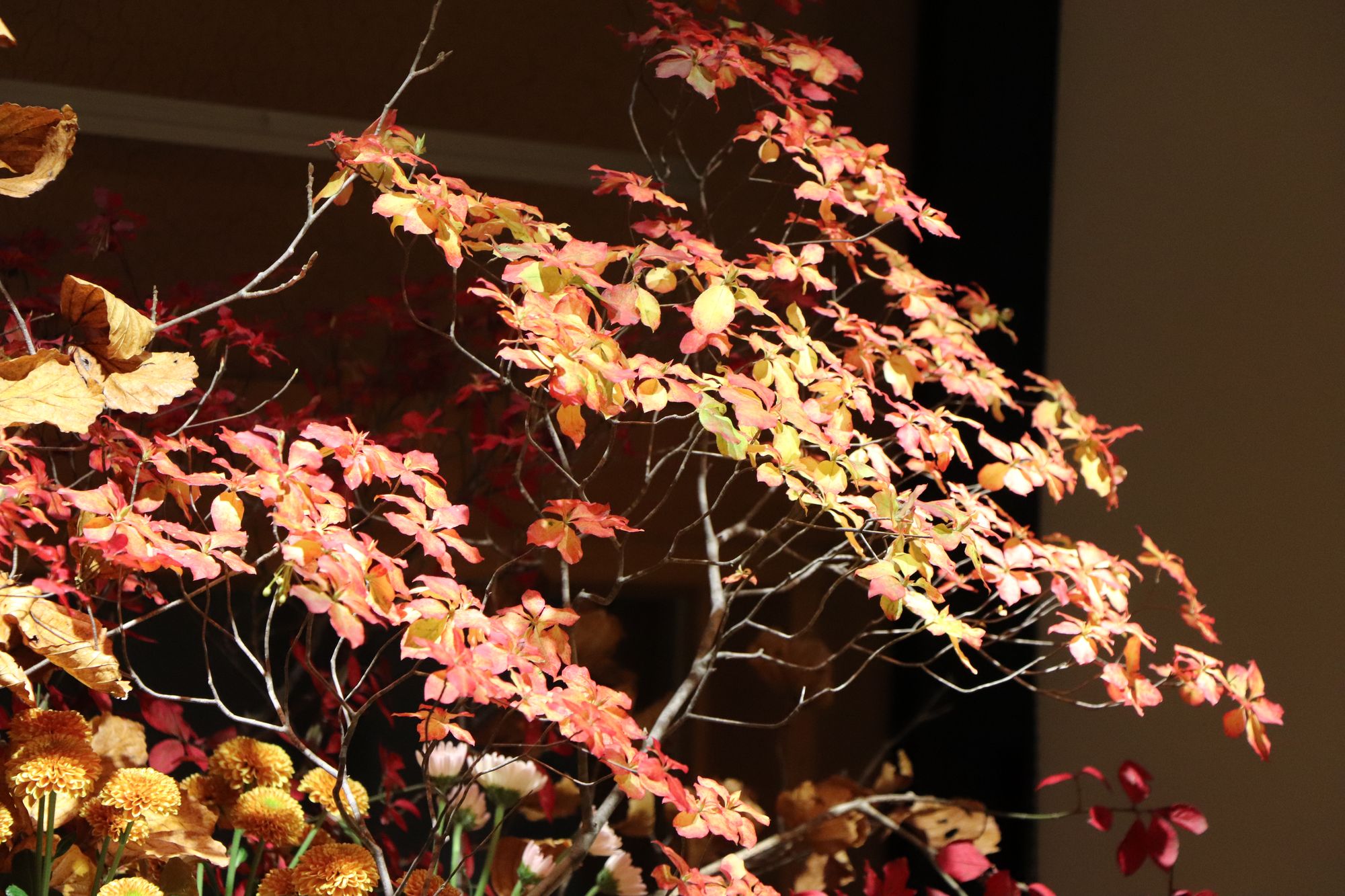 薄皮茶屋の朝茶会