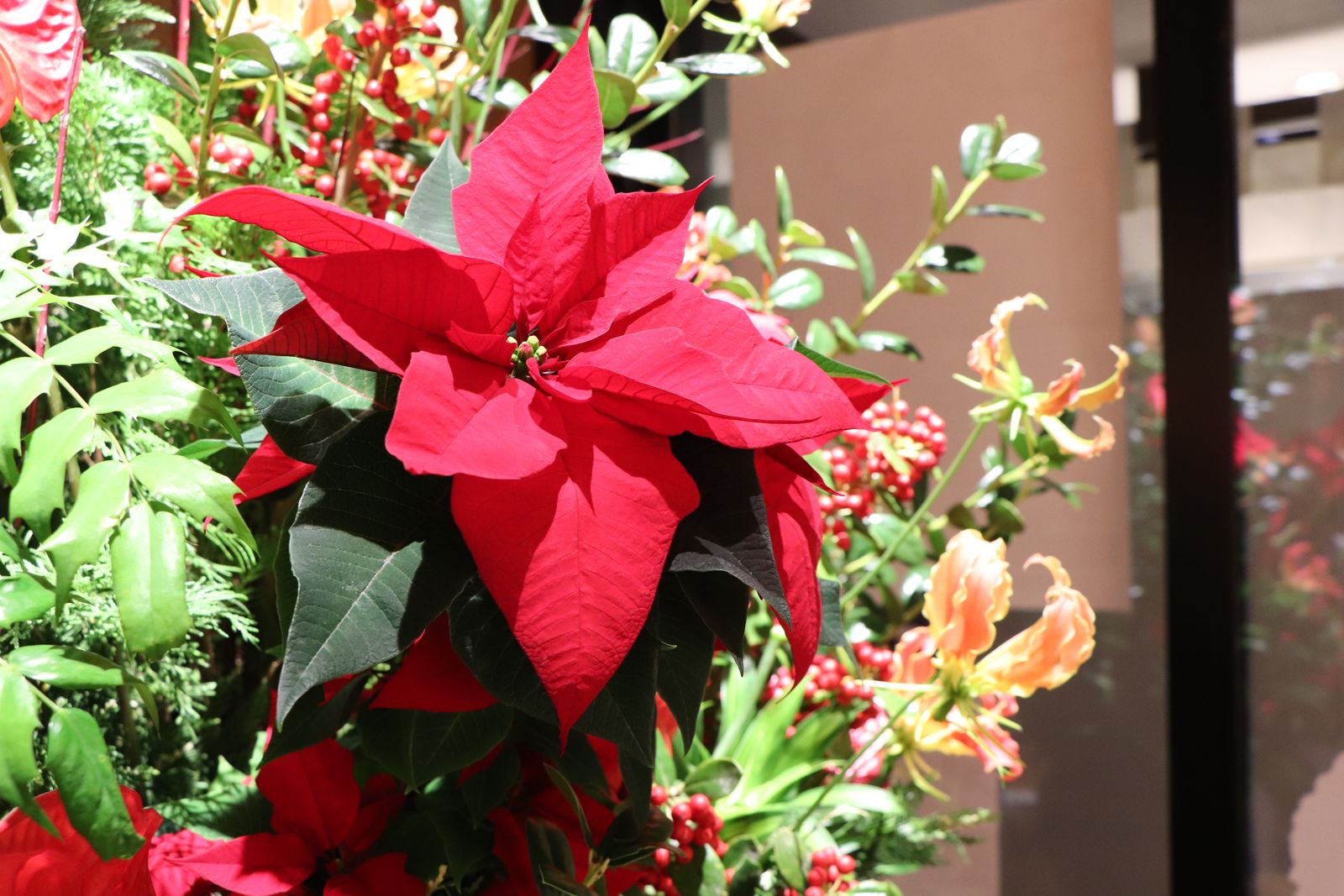 薄皮茶屋の朝茶会