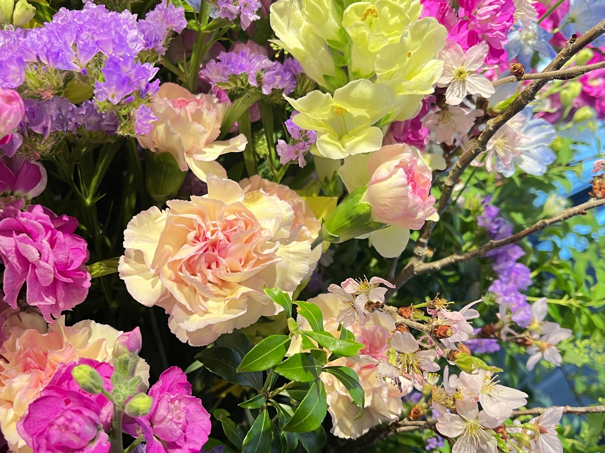 薄皮茶屋の朝茶会